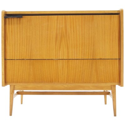 Mid-Century Storage Cabinet, Czechoslovakia, 1960s-TZ-820582