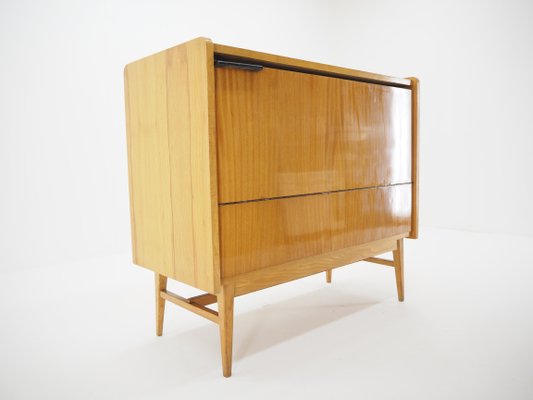 Mid-Century Storage Cabinet, Czechoslovakia, 1960s-TZ-820582