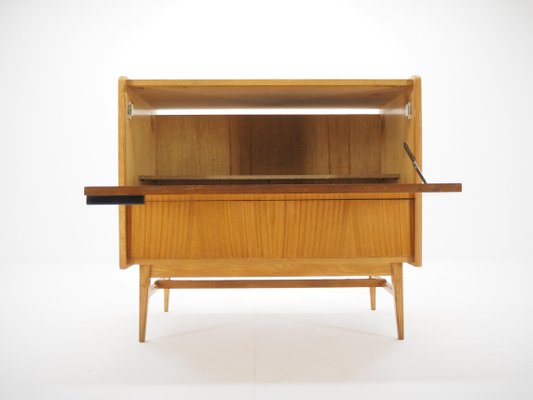 Mid-Century Storage Cabinet, Czechoslovakia, 1960s-TZ-820582