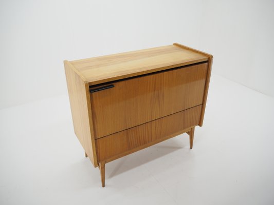 Mid-Century Storage Cabinet, Czechoslovakia, 1960s-TZ-820582