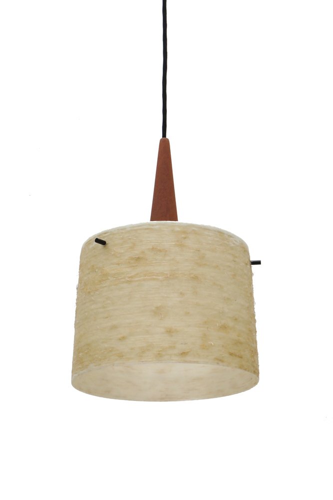 Mid-Century Teak & Fiberglass Ceiling Lamp from Dame & Co., 1960s