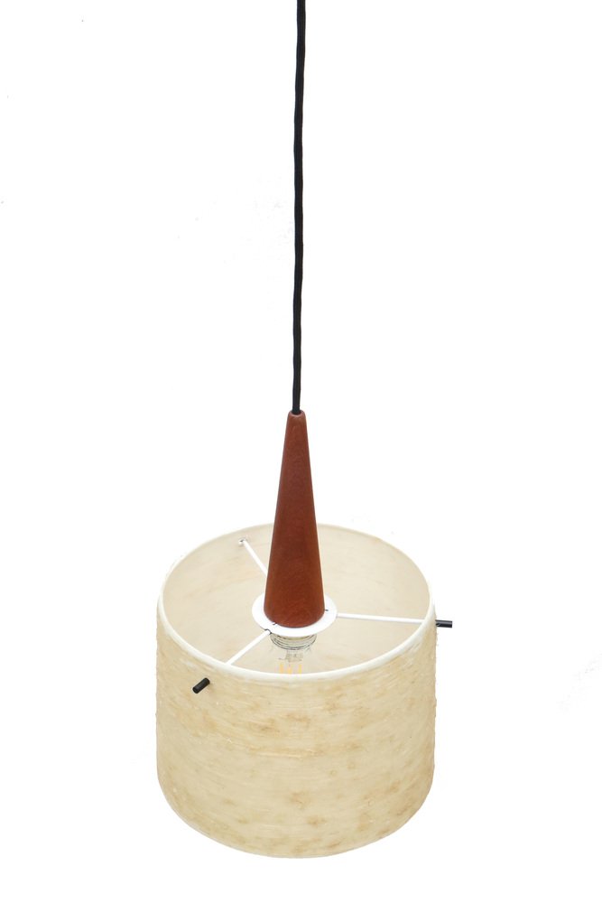 Mid-Century Teak & Fiberglass Ceiling Lamp from Dame & Co., 1960s