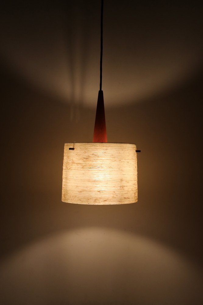 Mid-Century Teak & Fiberglass Ceiling Lamp from Dame & Co., 1960s