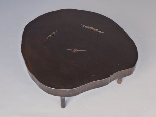 Mid-Century Tree Trunk Coffee Table, 1950s-MB-1421722