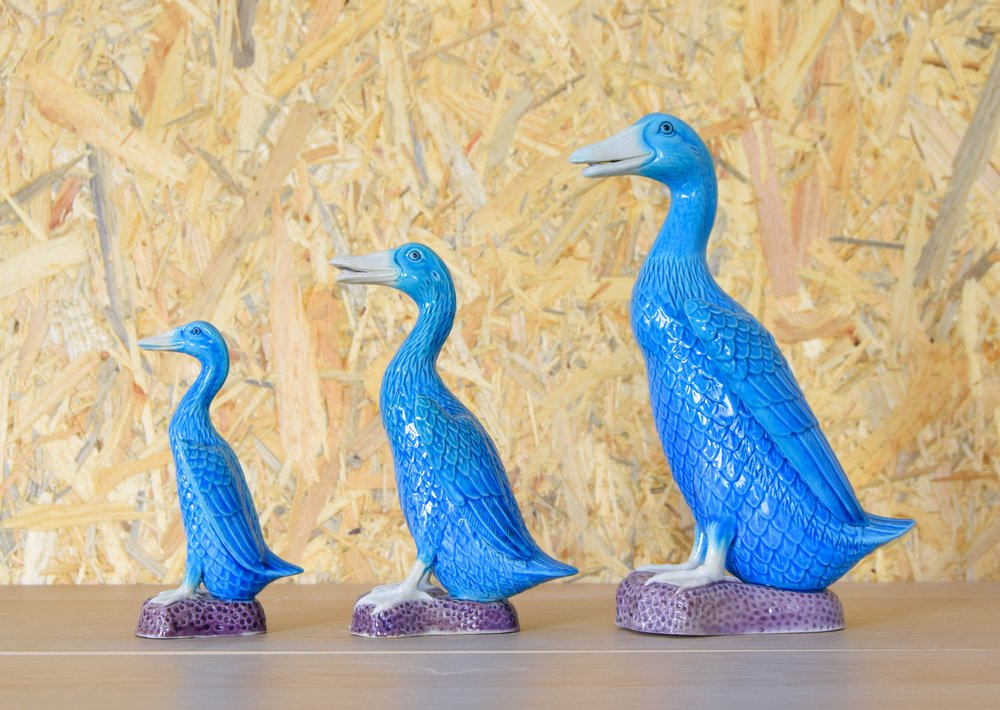 Mid-Century Turquoise Ducks in Chinese Porcelain, 1950s, Set of 3