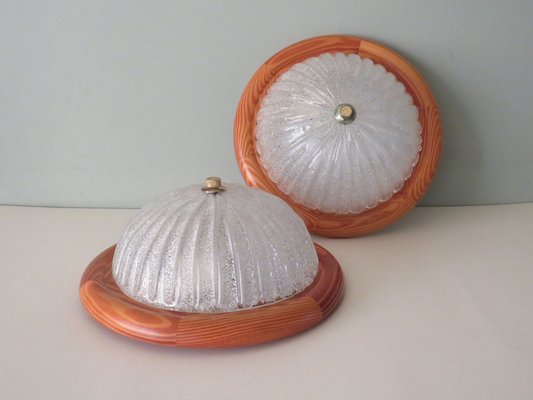 Mid-Century Wall Lamps or Ceiling Lamps from Massive Belgium, 1960, Set of 2-UKG-1248728