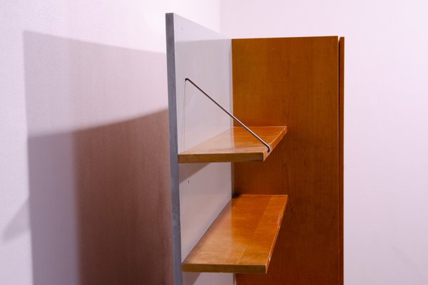 Mid-Century Wall Shelf Cabinet by Up Závody, Czechoslovakia, 1960s-HXT-1773636