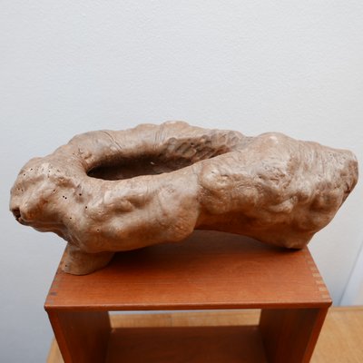 Mid-Century Wooden Root Bowl, 1970s-JRP-1374202