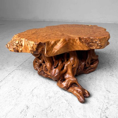 Mid-Century Yakusugi (Yakusugi) Burl Wood Plant Stand, Japan, 1940s-DWL-1700541