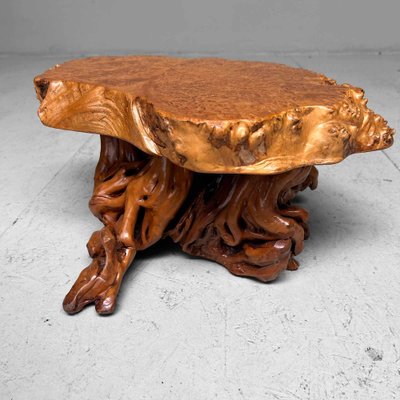 Mid-Century Yakusugi (Yakusugi) Burl Wood Plant Stand, Japan, 1940s-DWL-1700541