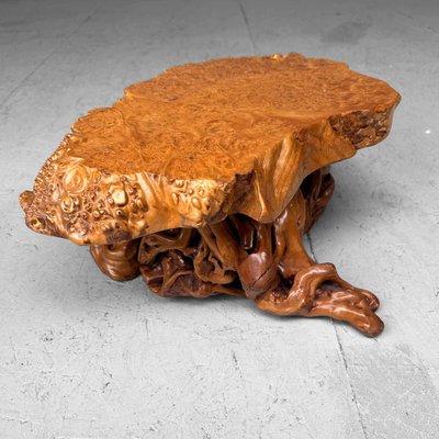 Mid-Century Yakusugi (Yakusugi) Burl Wood Plant Stand, Japan, 1940s-DWL-1700541