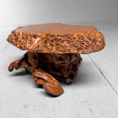 Mid-Century Yakusugi (Yakusugi) Burl Wood Plant Stand, Japan, 1940s-DWL-1700541