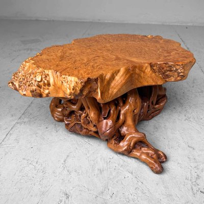 Mid-Century Yakusugi (Yakusugi) Burl Wood Plant Stand, Japan, 1940s-DWL-1700541