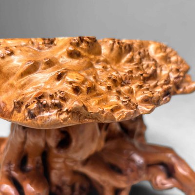 Mid-Century Yakusugi (Yakusugi) Burl Wood Plant Stand, Japan, 1940s-DWL-1700541