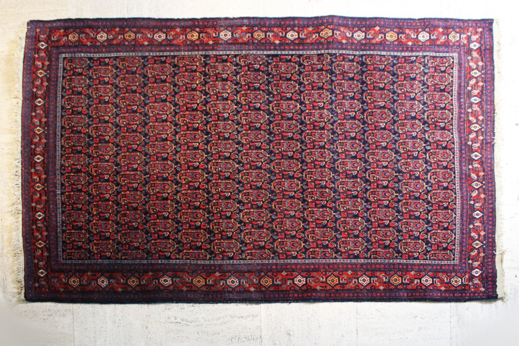 Middle Eastern Afshar Rug