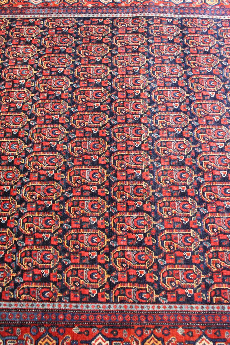 Middle Eastern Afshar Rug