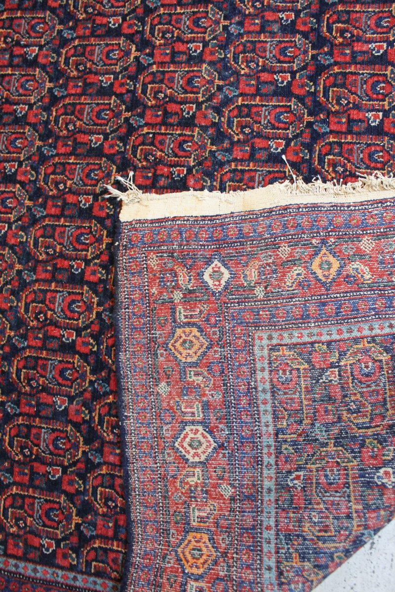 Middle Eastern Afshar Rug