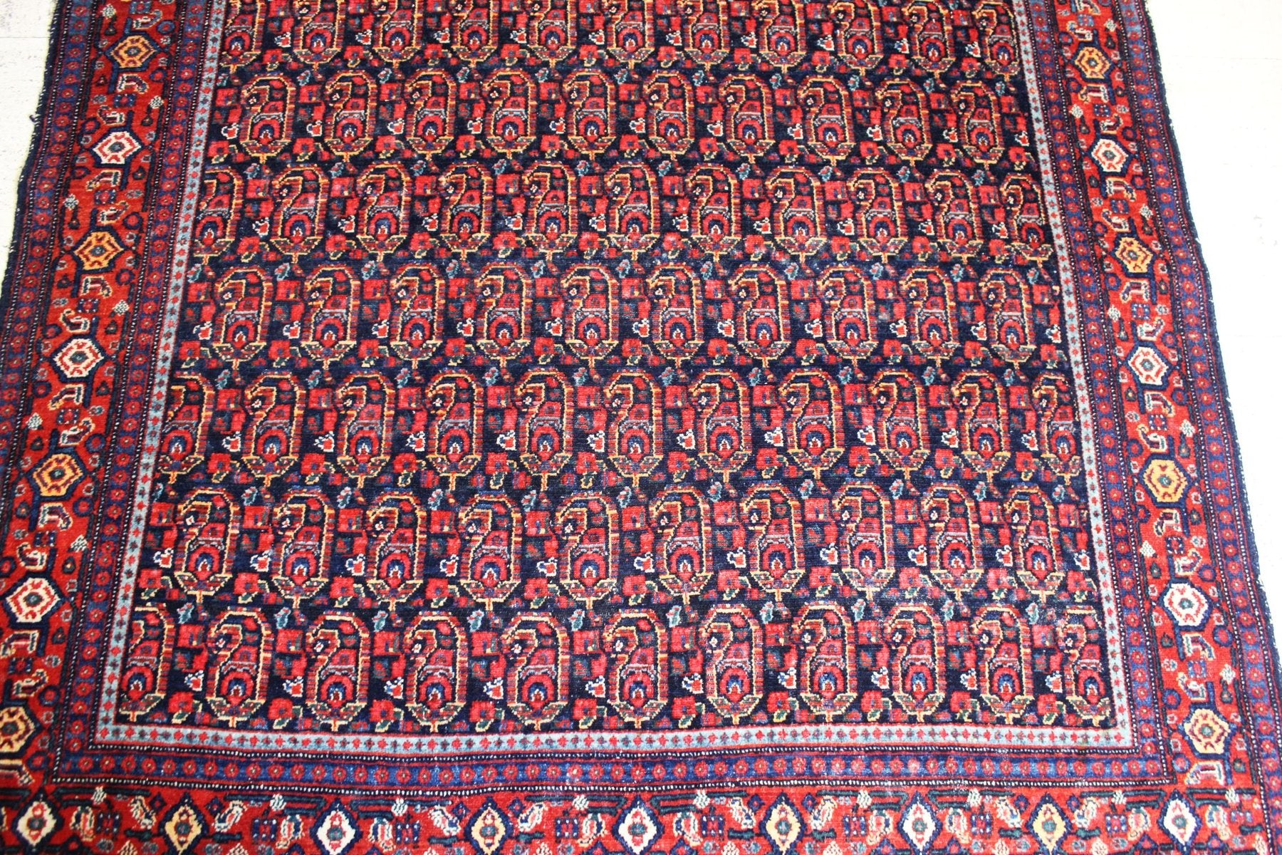 Middle Eastern Afshar Rug