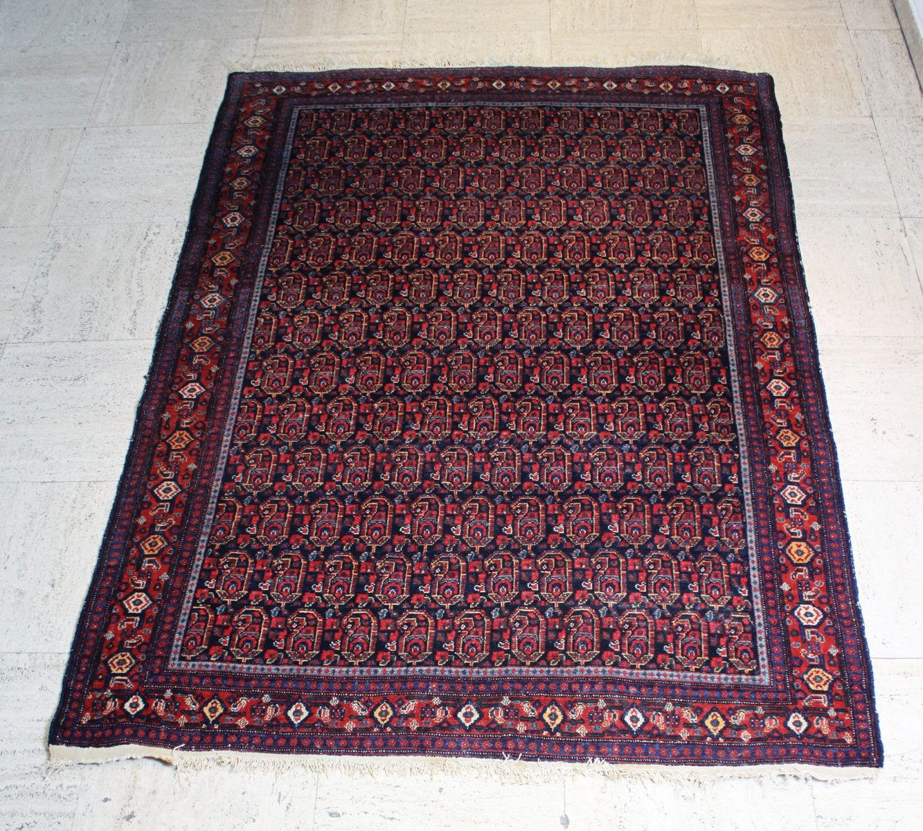 Middle Eastern Afshar Rug