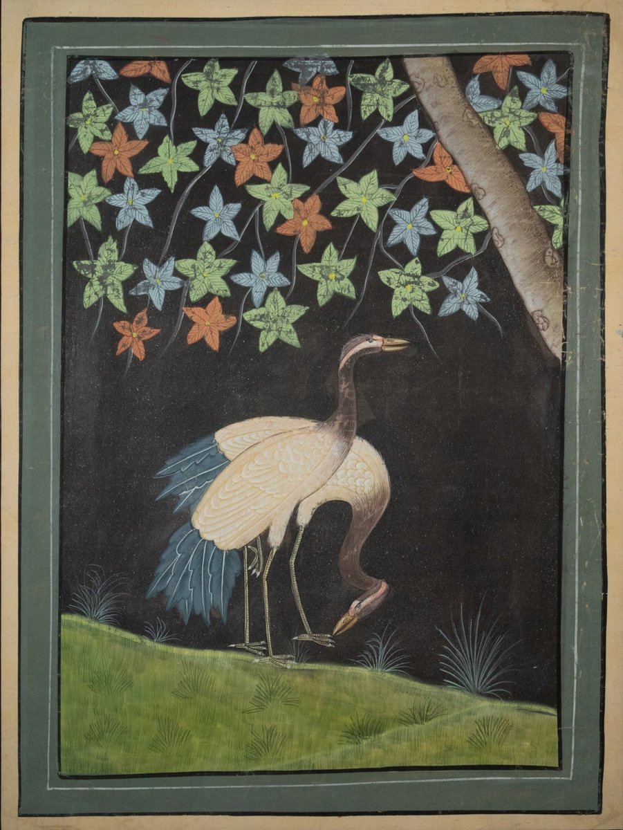 Middle Eastern Artist, Two Herons, 19th or 20th Century, Gouache