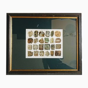 Minerals and Rocks. Encyclopedic Graphics, Germany, Chromolithograph-FSD-1121857