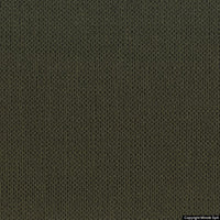 aida 11 verde