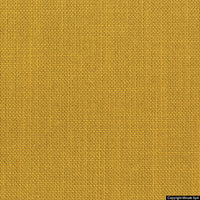 berry 12 giallo