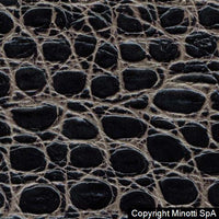coccodrillo c4antracite