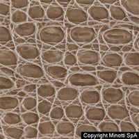 coccodrillo c5grigiosabbia