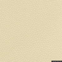 corium 01 avorio