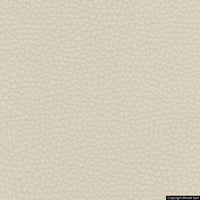 corium 02 ecru