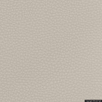 corium 03 sabbia