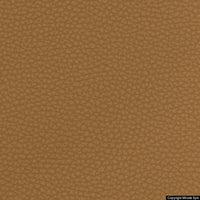 corium 05 curry