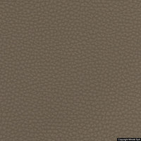 corium 08 fango