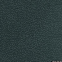 corium 13 petrolio