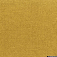 kolly 24 oro