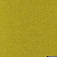 lani 01 olio