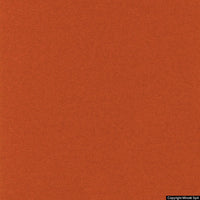 lani 23 zucca