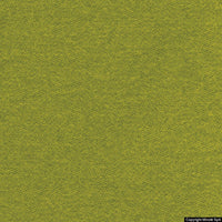 lani 93 lime