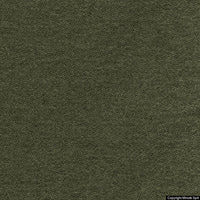lani 96 salvia