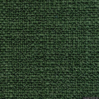 nakano 05 verde bosco