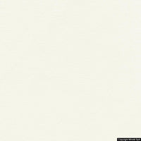 nuvola 117 neve