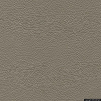 nuvola 207 camoscio
