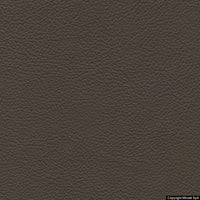 nuvola 218 marmotta