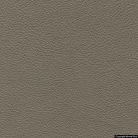 nuvola 238 bracco
