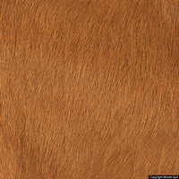 pony look corten