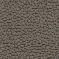 safari 04 antracite