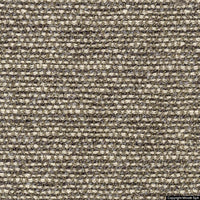 savanna 242 corda