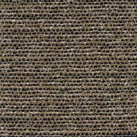 savanna 262 paglia