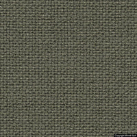 standard 02 salvia